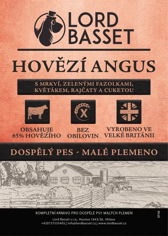 Lord Basset MONOPROTEIN bez obilovin pro malá plemena HOVĚZÍ 2Kg