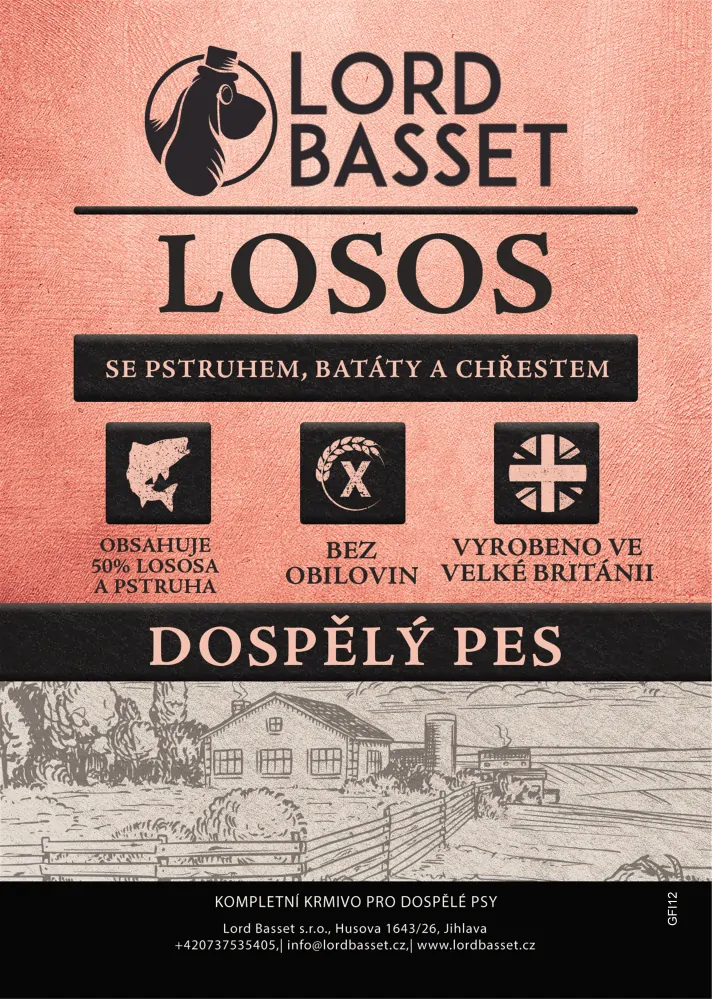 Lord Basset MONOPROTEIN bez obilovin LOSOS SE PSTRUHEM pro malá plemena 6Kg