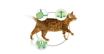 Purina Pro Plan Cat Sterilised králík 85 g