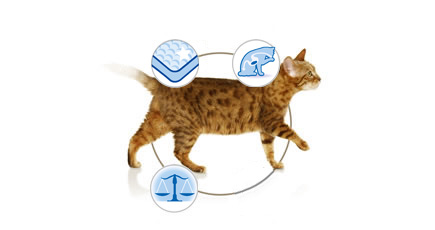 Purina Pro Plan Cat Housecat losos 85 g