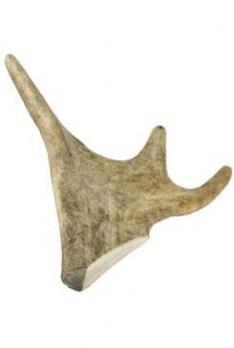 Pochoutka paroží Daněk 170-230g