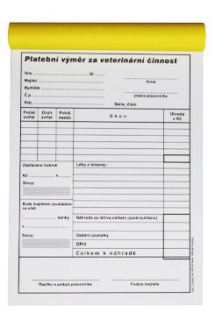 Tiskopis-Plateb.výměr Nepropis. Nečísl. Nedaň.100 list