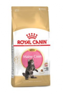 Royal Canin Breed Feline Kitten Maine Coon 10kg