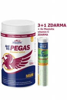 VITAR Veterinae ArtiVit Pegas MSM 720g