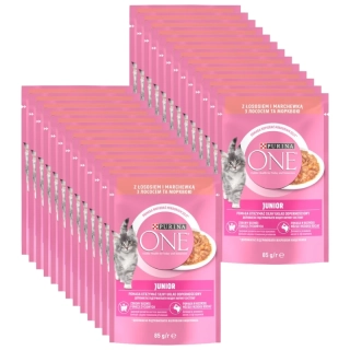Purina One Junior Mini filetky s lososem a mrkví ve šťávě 26 x 85 g